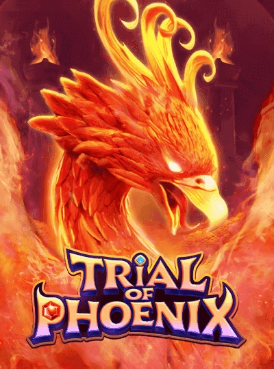 6v77